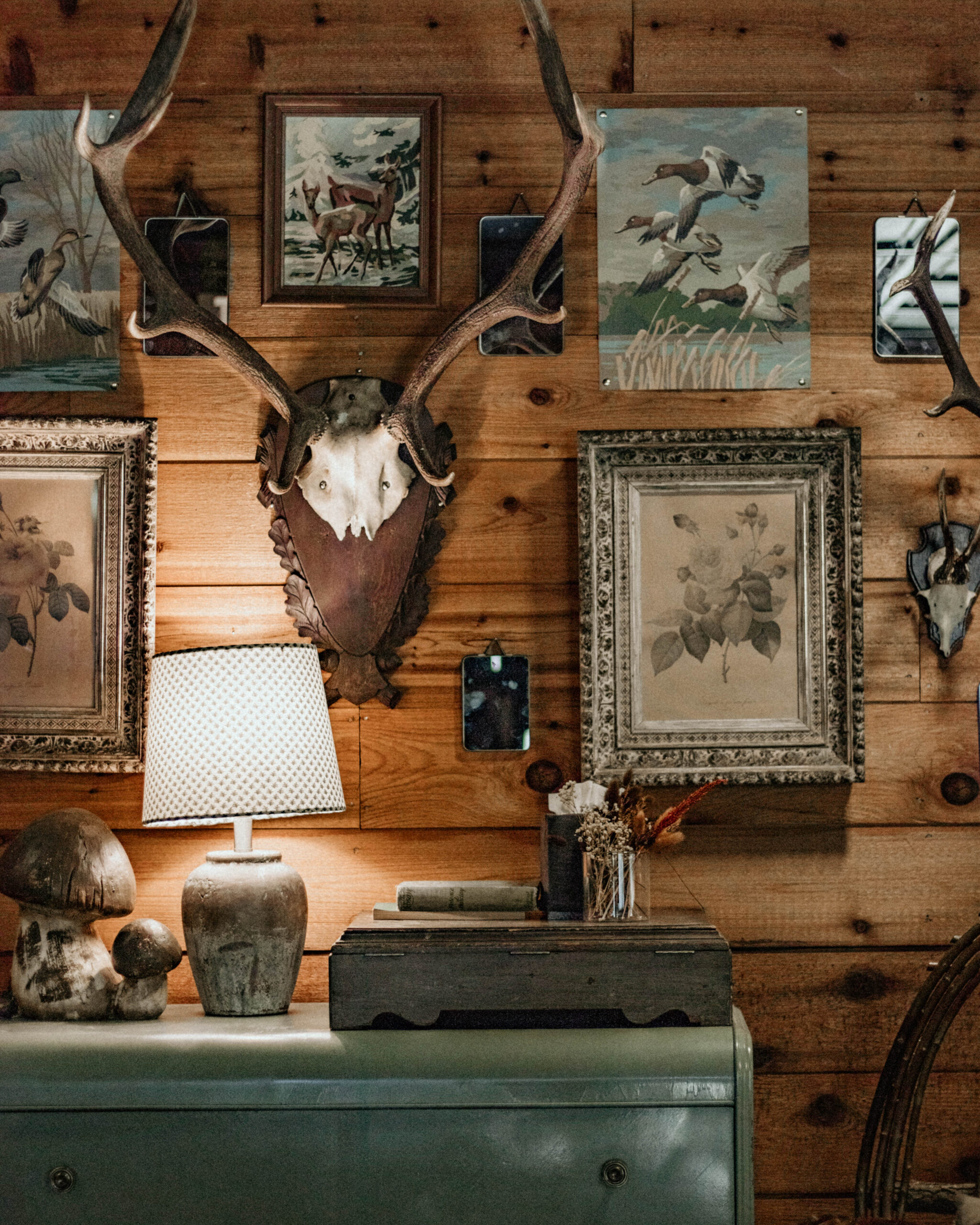 elk antlers on main lodge wall